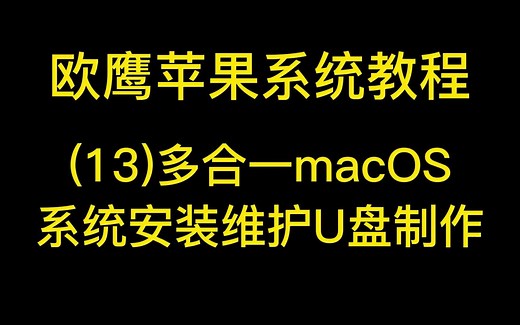 (13)多合一macOS系统安装维护U盘制作