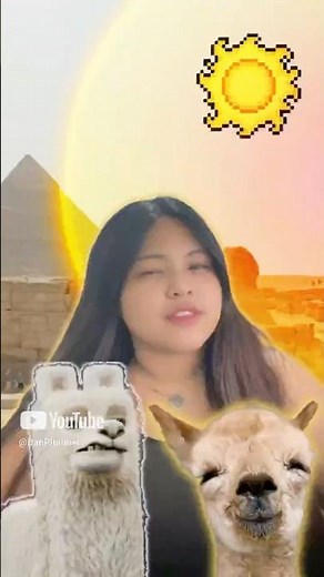 Cleaning Rivers with Llama Poop! And It Actually Works