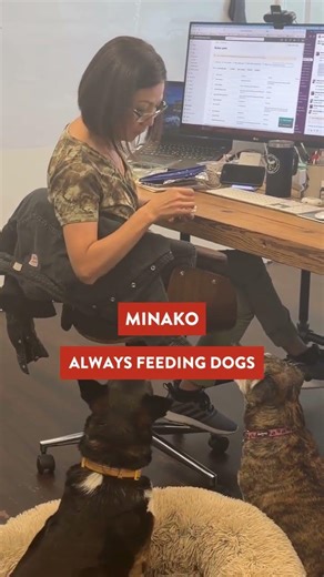 An Average Day at Chibitek