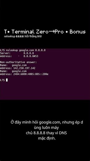 T• nslookup google.com 8.8.8.8: hỏi thẳng DNS Google | Bonus (Terminal Zero→Pro) #ubuntu #terminal