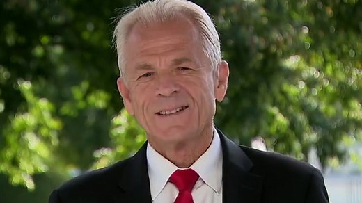 Navarro slams Biden as siding with credit card companies over consumers with 2005 bankruptcy bill