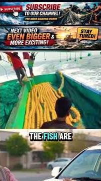 Dangerous Fishing Technique 😱 | Massive Fish Catch in Ocean #Shorts