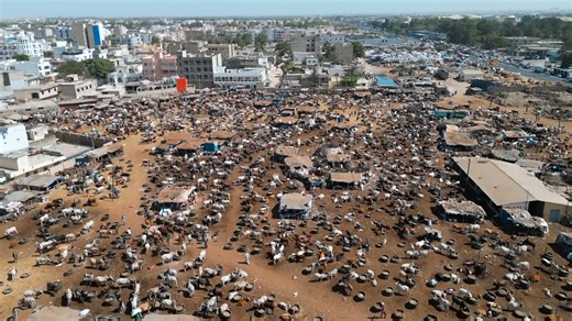 What daily life looks like in Senegal’s biggest ghetto