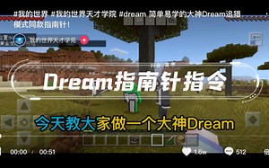 Dream指南针指令