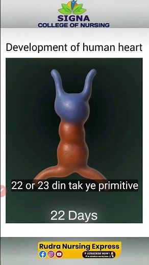 Development of Human Heart 🫀 #biology #heart #bscnursing