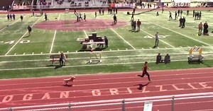 Speedy dog 'beats' humans during Utah track meet