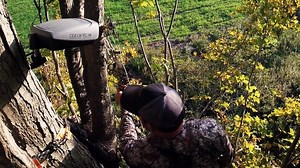 1.2K views · 19 reactions | With history repeating itself for Austin,...