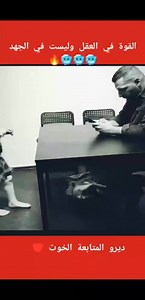 640K views · 10K reactions | Jamal Fikr on Reels | Facebook