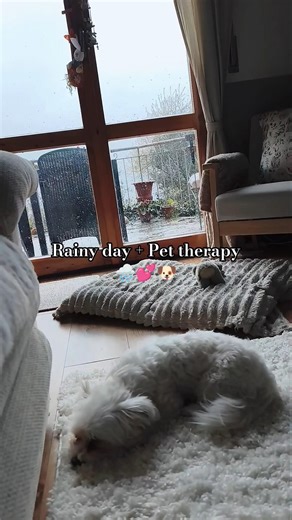 Slow Morning on a Rainy Day🌧️