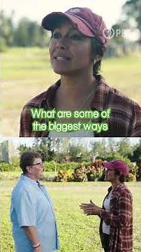 Why Does Florida have SO MANY Invasives? #invasivespecies #invasiveplants