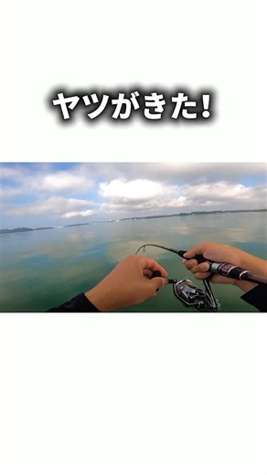 海と過ごす休日。最後にヤツがきた。 #島の釣りやすみ #釣り #テンヤ