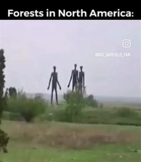 Weren't gnomes and fairies originally fucked up little guys though? | Events of the planet Earth