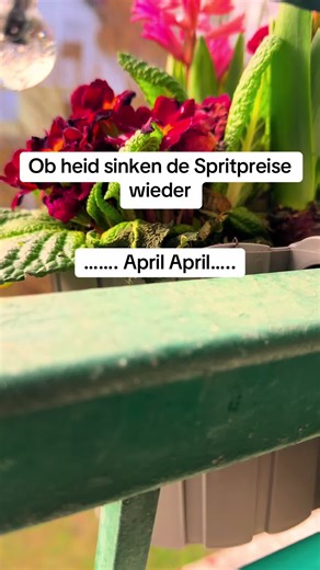 🥹#austria🇦🇹 #dialekt #memestiktok #meme #gaming