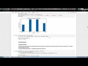 IBM Capstone Project
