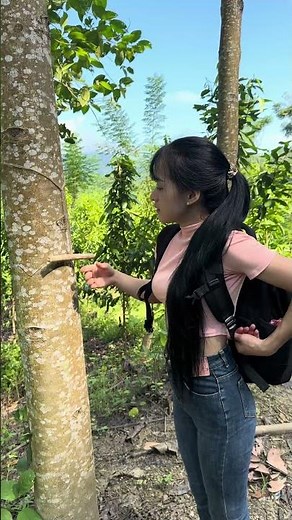 How to hang a backpack in the woods #camping #forest #bushcraft