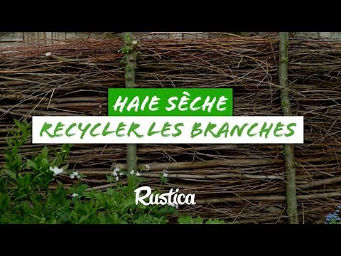 Dry hedge, recycle the branches