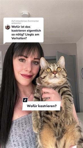 Benefits of Cat Neutering: Extended Life Expectancy and Health Benefits