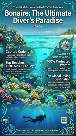 Should Bonaire Be Your Next Caribbean Vacation? | Bonaire Travel Guide #travel #shorts