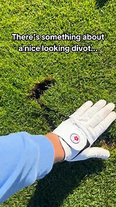 250K views · 111 reactions | Are we right or are we right? ‍ (credit u/Spiritual_Abroad1426 on reddit) #golf #golfcourse #golflife #golfing | Me and My Golf | Facebook