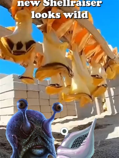 The Exciting New Shellraiser: A Unique Experience