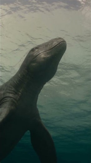 What Did Basilosaurus Actually Sound Like? 🐋😳