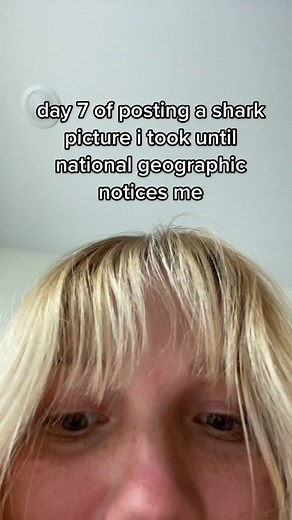 @natgeo smiling shark to finish up one whole week of shark pictures. #sharks #greatwhiteshark #savethesharks #shark #ocean #photography