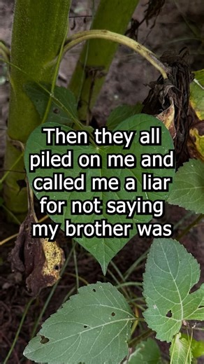 7.4K views · 58 reactions | I never mentioned my brother was dead to a co-worker and I caught her spreading a terrible lie about him so I reported her to the manager to get her fired. Plus I'll update .-#redditstorytime #redditposts #reddit #askredditstori | Anirak-Lover | Facebook