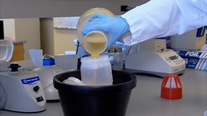 From Cells to Cell-Free Protein Synthesis within 24 Hours Using Cell-Free Autoinduction Workflow