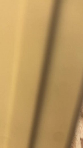 DAY 1 OF THE SWITCHING DONT LET THIS FLOP #foryou #prank #fyp #picture #dontletthisflop