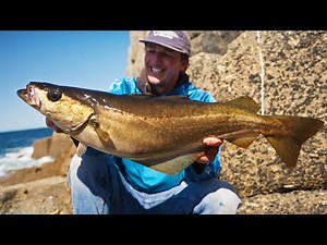 How To Catch Big Pollack From The Shore - Epic Lure Fishing