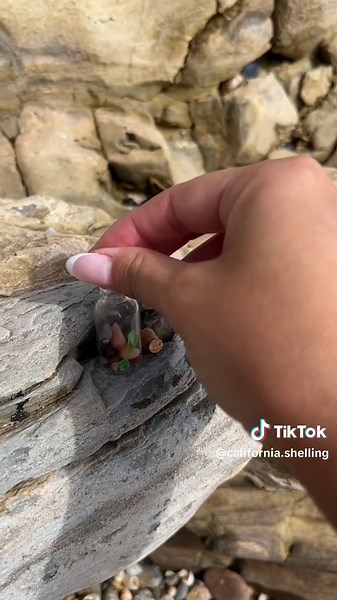 Exploring Micro Treasures at the Beach - Sea Glass and Seashell Collection