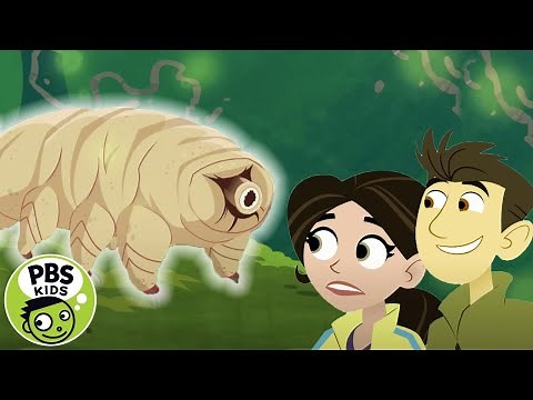 Wild Kratts | Meet the Tiny Tardigrade! | PBS KIDS