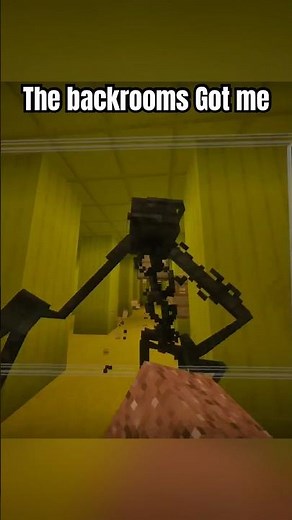 I NOCLIPPED into the BACKROOMS in Minecraft!