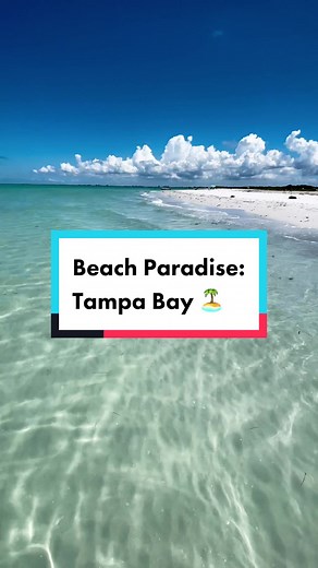 Home of some of the Top Beaches in America: Tampa Bay, Florida 🏝️ The Tampa Bay Region is lined with sugar-white sand beaches and beautiful green-blue Gulf of Mexico waters. Clearwater Beach was named Best Beach in America 🏆 in 2019, 2018, and 2016 with St. Pete Beach more recently named #1 Beach 🥇 in 2021. Besides these two popular beaches, there are many other local favorites like Fort De Soto and Florida’s Hidden Gem of Anna Maria Island. Next time you’re looking to getaway to some beautif
