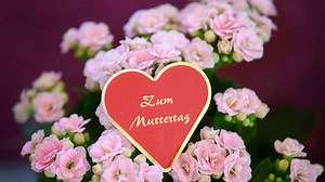 WhatsApp-Sprüche am Muttertag: Die tollsten Grüße, Videos und Gedichte zum Verschicken