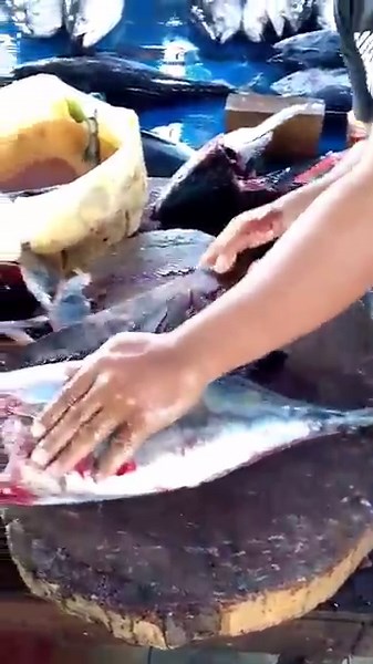 Quick & Practical⚡How to fillet a Yellowfin Tuna like a Pro! #knifeskills #tunacutting #shorts