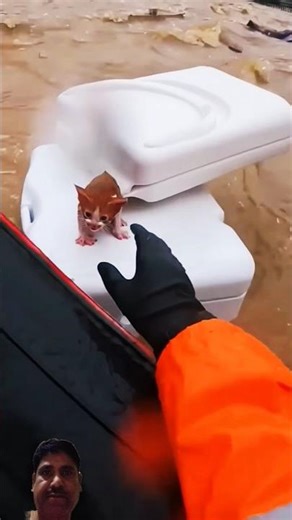 La Ilaha Illallah | #shots