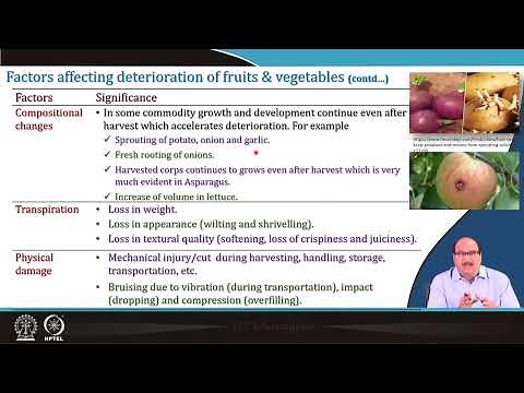 Post Harvest Losses: Causes and Preventive Measures