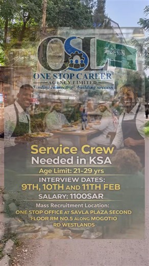 Campaign Update - Ailo Siri