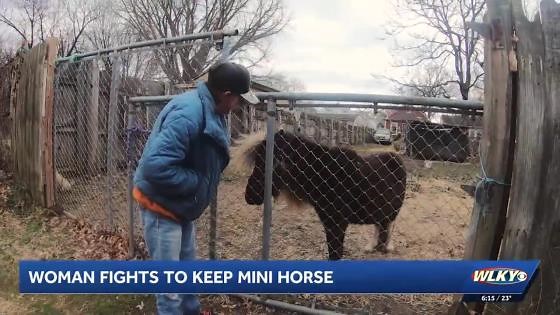 Louisville woman fights to keep mini horse amid new ordinance