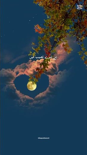 SHER SONG LYRICS 🖤