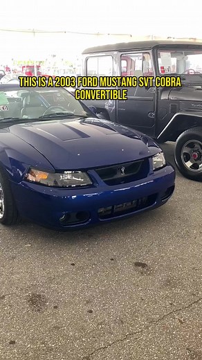 2003 Ford Mustang SVT Cobra Convertible Terminator #ford #mustang #svt #cobra #terminator