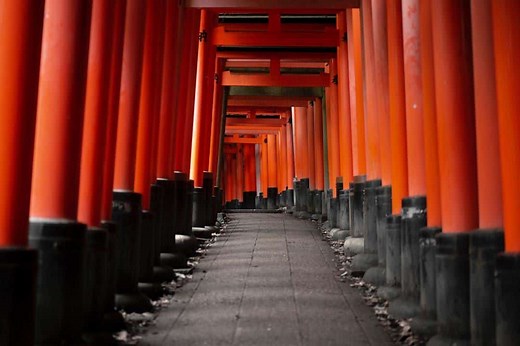 The 15 BEST Places to Visit in Japan (2026 Guide)