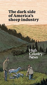 Sheepherders, a fixture of the West’s remote mountains and deserts, work long hours on the open range, in an industry beset by abuse. In a livestream discussion, High Country News editor Kate Schimel sat down with Teresa Cotsirilos from the Food & Environment Reporting Network to talk on the dark side of America’s sheep industry. To watch the interview in its entirety, click here ➡️ https://ow.ly/9OAw50PZqCg | High Country News
