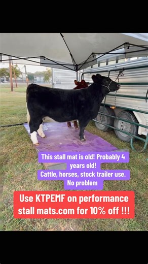 This Mat is old! I use it in stock trailer, stalls, and even for cattle shows! #Stallmats #comfort #hauling #ffa #equine #cattle | KT PEMF Performance, LLC | Facebook
