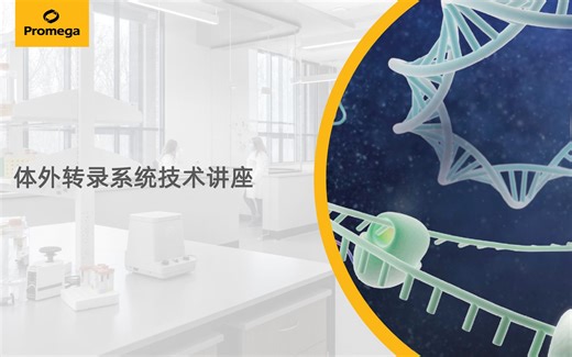Promega体外转录系统技术讲座