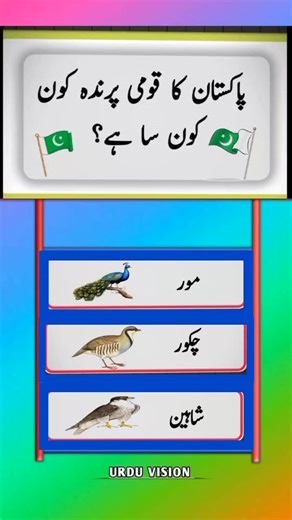 Urdu Vision on Reels