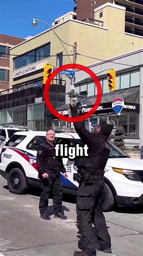 How to Successfully Grab a Drone Mid-Flight