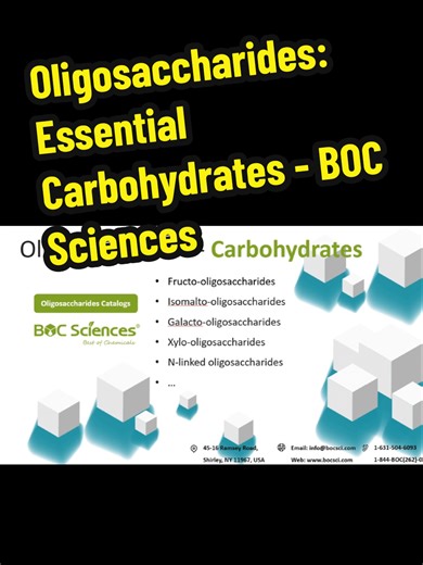 Exploring Oligosaccharides: Functions and Applications