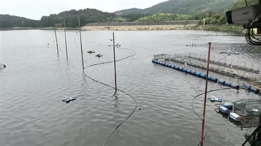 一天六吨鱼康1号，合作共赢